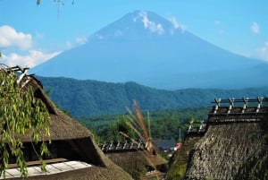 Tokyo: Mt. Fuji, Lake Kawaguchiko, Pagoda och Oishi Park Tour