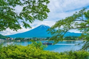 Tokyo: Mt. Fuji, Lake Kawaguchiko, Pagoda och Oishi Park Tour