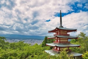 Tokyo: Mt. Fuji, Lake Kawaguchiko, Pagoda och Oishi Park Tour