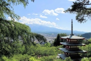 Tokyo: Mt. Fuji, Lake Kawaguchiko, Pagoda och Oishi Park Tour