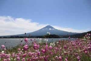 Tokyo: Mt. Fuji, Lake Kawaguchiko, Pagoda och Oishi Park Tour