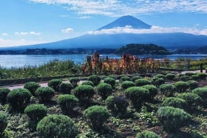 Tokyo: Mt. Fuji, Lake Kawaguchiko, Pagoda och Oishi Park Tour