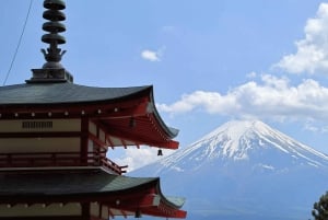 Tokyo: Mt. Fuji, Lake Kawaguchiko, Pagoda och Oishi Park Tour