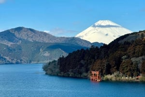 Tokyo: Mount Fuji and Lake Kawaguchi Tour with Pickup