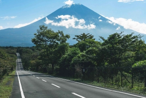 Tokyo: Mount Fuji and Lake Kawaguchi Tour with Pickup