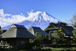 Tokyo: Mount Fuji and Lake Kawaguchi Tour with Pickup