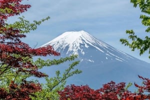 Tokyo: Mount Fuji and Lake Kawaguchi Tour with Pickup