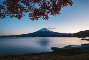 Tokyo: Mount Fuji and Lake Kawaguchi Tour with Pickup