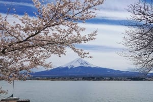 Tokyo: Mount Fuji and Lake Kawaguchi Tour with Pickup