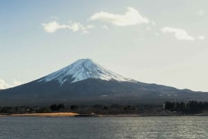 Tokyo: Mount Fuji and Lake Kawaguchi Tour with Pickup