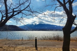 Tokyo: Mount Fuji and Lake Kawaguchi Tour with Pickup