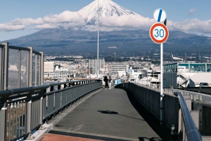 Tokyo: Mount Fuji and Lake Kawaguchi Tour with Pickup