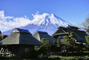 Tokyo: Mount Fuji and Lake Kawaguchi Tour with Pickup