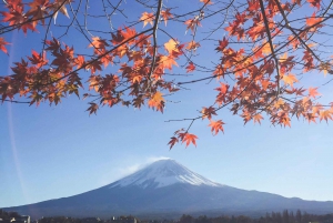 Tokyo: Mount Fuji and Lake Kawaguchi Tour with Pickup