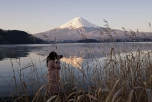 Tokyo: Mount Fuji and Lake Kawaguchi Tour with Pickup