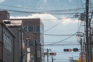 Tokyo: Mount Fuji and Lake Kawaguchi Tour with Pickup