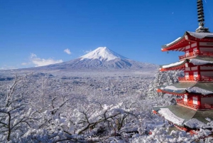 Tokyo: Mount Fuji and Sake Tasting Tour with Lunch