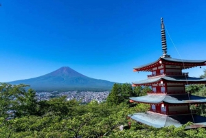 Tokyo: Mount Fuji and Sake Tasting Tour with Lunch