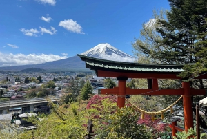 Tokyo: Mount Fuji and Sake Tasting Tour with Lunch