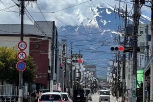 Tokyo: Mount Fuji and Sake Tasting Tour with Lunch