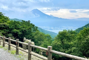 Tokyo: Mount Fuji and Sake Tasting Tour with Lunch