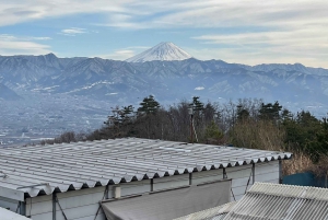 Tokyo: Mount Fuji and Sake Tasting Tour with Lunch