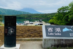 Tokyo: Mount Fuji and Sake Tasting Tour with Lunch