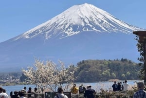 Tokyo: Mount Fuji Customizable Private Tour by Car