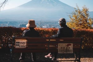 Tokyo: Mount Fuji Customizable Private Tour by Car