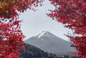 Tokyo: Mount Fuji Customizable Private Tour by Car