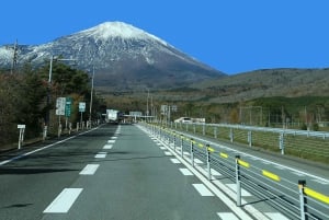 Tokyo: Mount Fuji Customizable Private Tour by Car