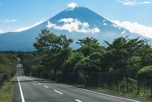 Tokyo: Mount Fuji Customizable Private Tour by Car