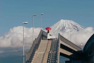 Tokyo: Mount Fuji Customizable Private Tour by Car