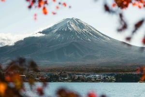 Tokyo: Mount Fuji Customizable Private Tour by Car