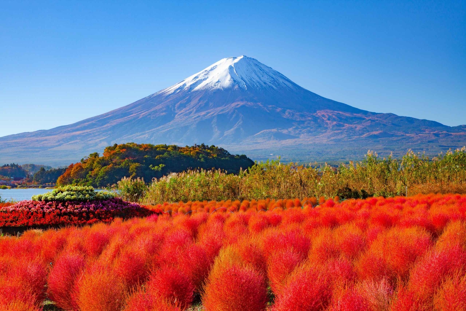 Tokyo: Mount Fuji Day Tour, Oshino Hakkai, Lake Kawaguchi