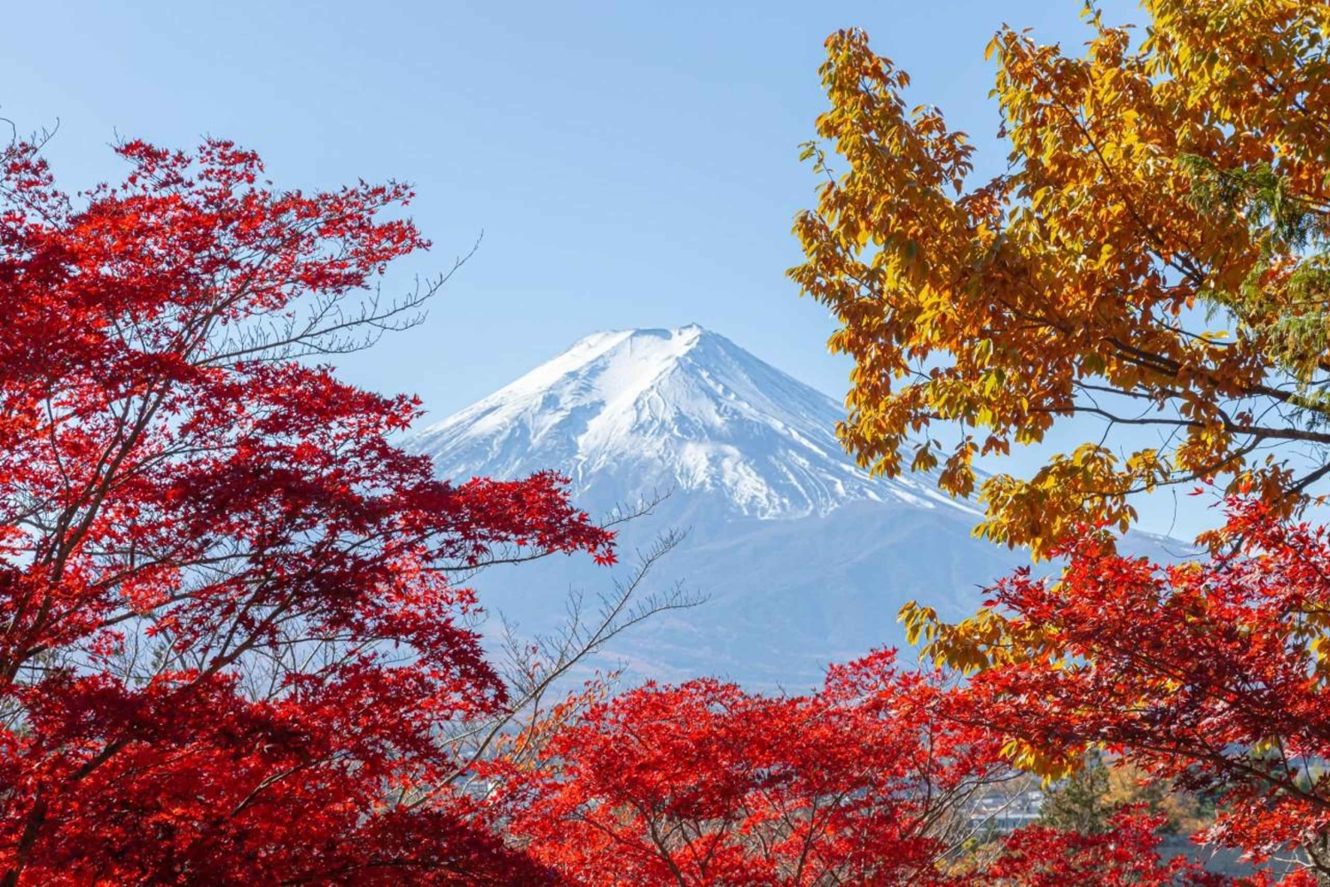 Tokyo: Mount Fuji Day Tour, Oshino Hakkai, Lake Kawaguchi