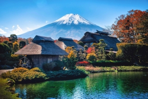 Tokyo: Mount Fuji Day Tour, Oshino Hakkai, Lake Kawaguchi