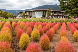 Tokyo: Mount Fuji Day Tour, Oshino Hakkai, Lake Kawaguchi