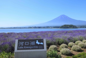 Tokyo: Mount Fuji Day Tour, Oshino Hakkai, Lake Kawaguchi
