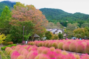 Tokyo: Mount Fuji Day Tour, Oshino Hakkai, Lake Kawaguchi