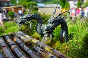 Tokyo: Mount Fuji Day Tour, Oshino Hakkai, Lake Kawaguchi