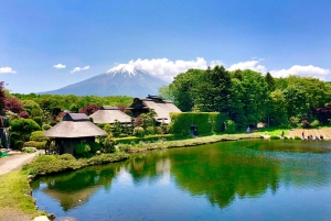 Tokyo: Mount Fuji Day Tour, Oshino Hakkai, Lake Kawaguchi