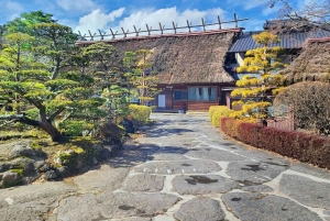 Tokyo: Mount Fuji Day Tour, Oshino Hakkai, Lake Kawaguchi