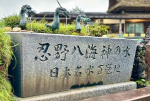 Tokyo: Mount Fuji Day Tour, Oshino Hakkai, Lake Kawaguchi