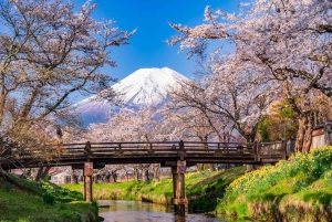 Tokyo: Mount Fuji Day Tour, Oshino Hakkai, Lake Kawaguchi