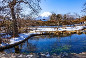Tokyo: Mount Fuji Day Tour, Oshino Hakkai, Lake Kawaguchi