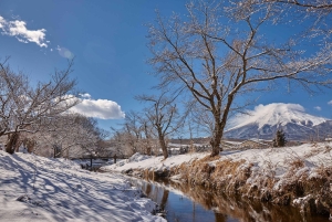 Tokyo: Mount Fuji Day Tour, Oshino Hakkai, Lake Kawaguchi