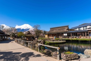 Tokyo: Mount Fuji Day Tour, Oshino Hakkai, Lake Kawaguchi
