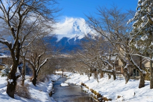 Tokyo: Mount Fuji Day Tour, Oshino Hakkai, Lake Kawaguchi