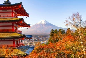 Tokyo: Mount Fuji Day Tour, Oshino Hakkai, Lake Kawaguchi